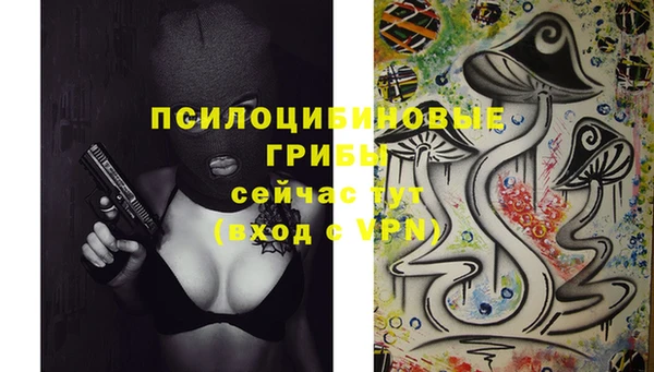 2c-b Абдулино