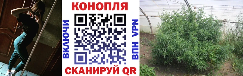 Шишки марихуана планчик цена Мантурово